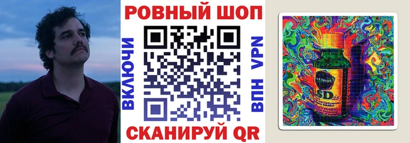 APVP Светогорск