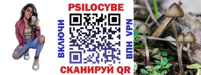 как найти наркотики Светогорск Псилоцибиновые грибы Psilocybe